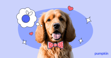 Dog in bow tie thinking about a blueberry