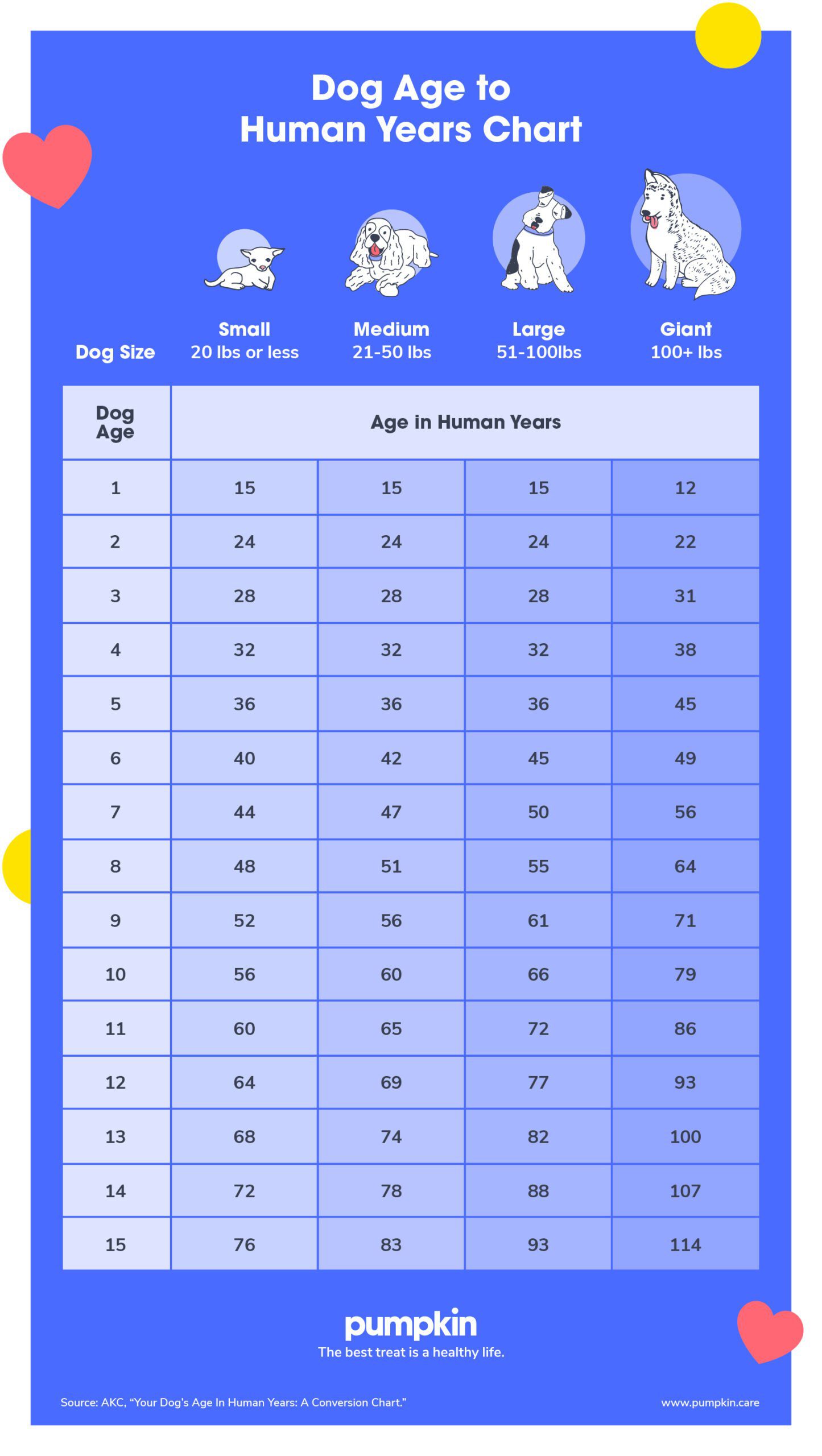 Top 7 How To Count Dog Years 2022