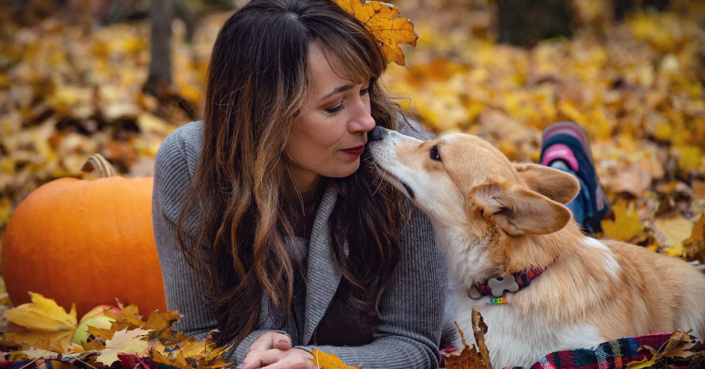 Why Does My Dog Stare At Me? Learn the Real Reasons — Pumpkin®