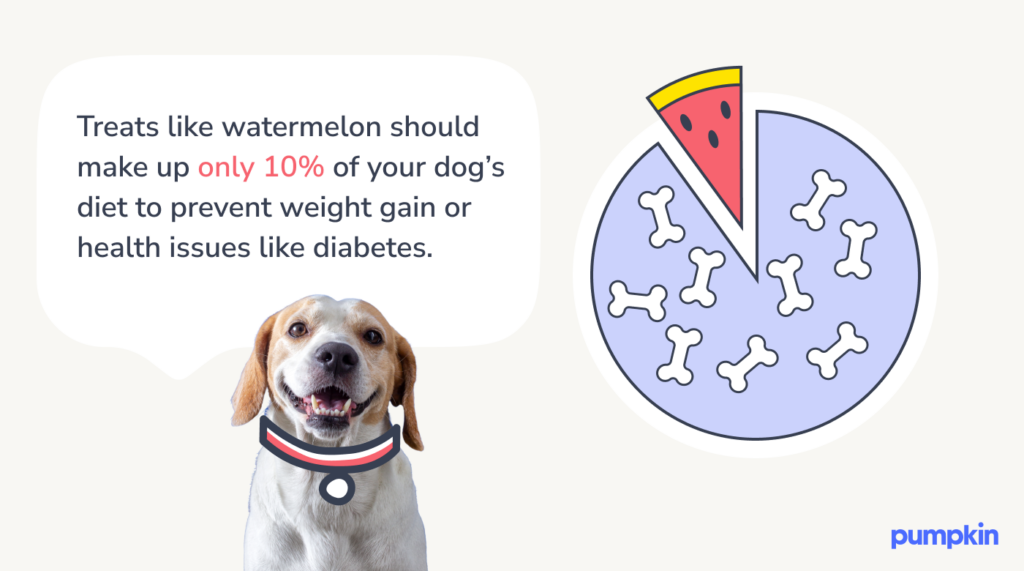 infographic with pie chart and text that reads 'treats like watermelon should make uponly 10% of your dog's diet to prevent weight gain or health issues like diabetes'