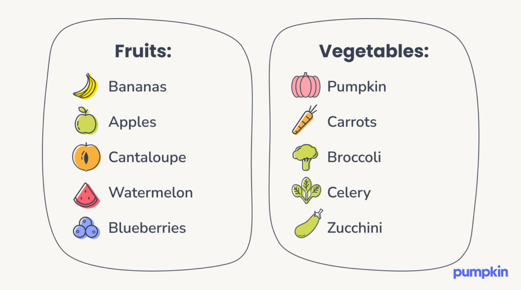 infographic listing safe fruits and vegetables for dogs