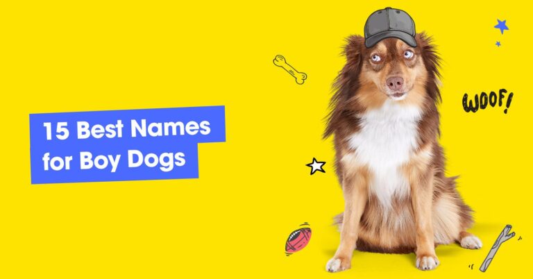 120 Pawesome Dog Names That Stand Out From The Pack — Pumpkin®