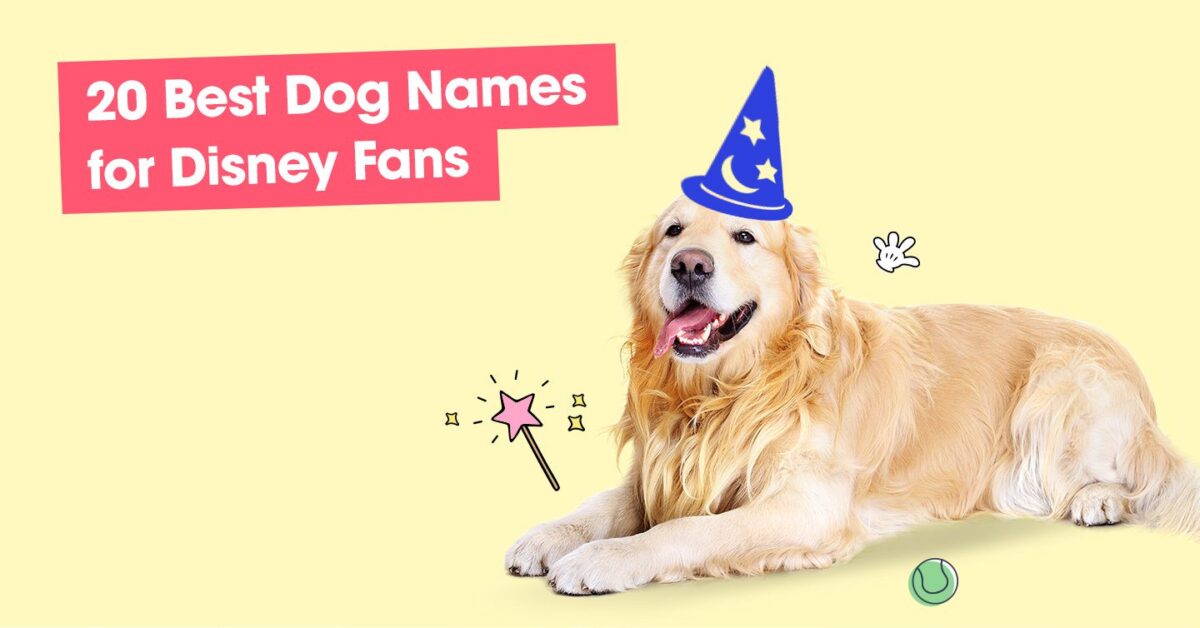 120 Pawesome Dog Names That Stand Out From The Pack — Pumpkin®