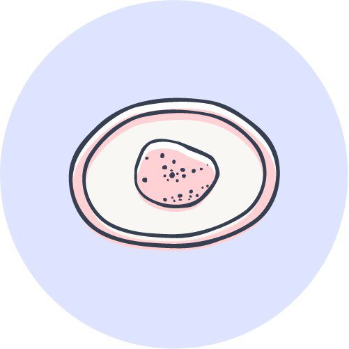 illustration of a Coccidia parasite