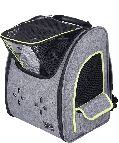 Top 15 Cat Backpacks for Your Fur Baby — Pumpkin®