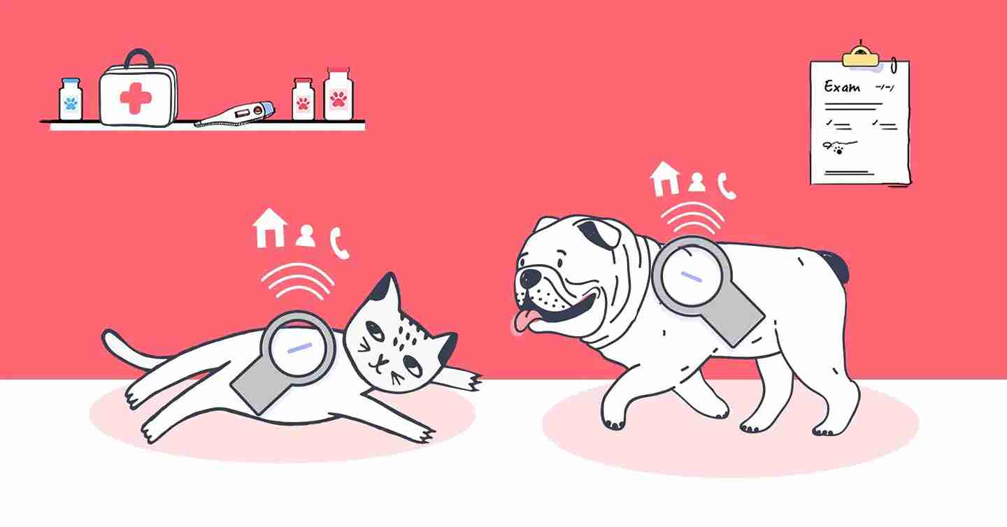 Illustration of Dog and cat with microchips