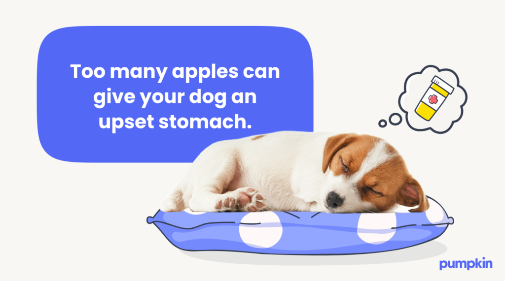 infographic with text that reads 'Too many apples can give your dog an upset stomach.'