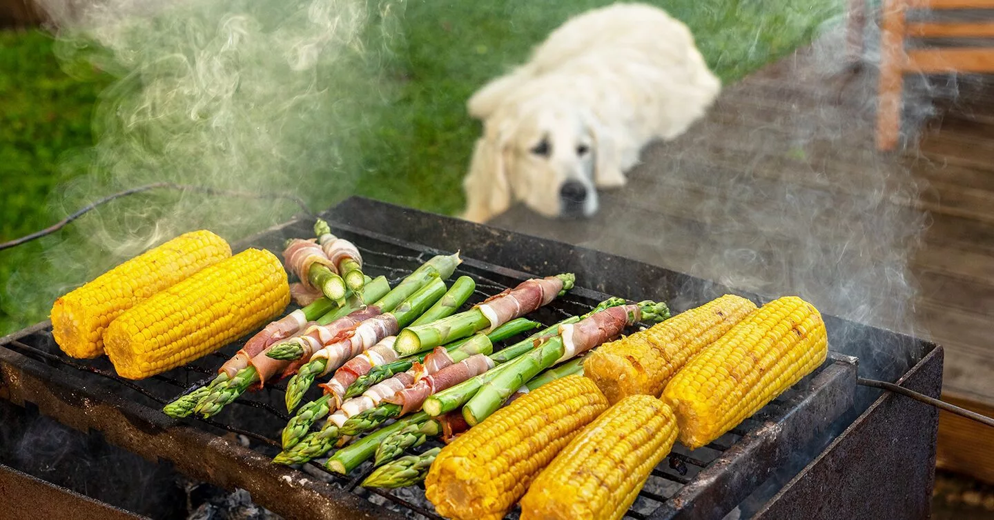 Are asparagus shop bad for dogs