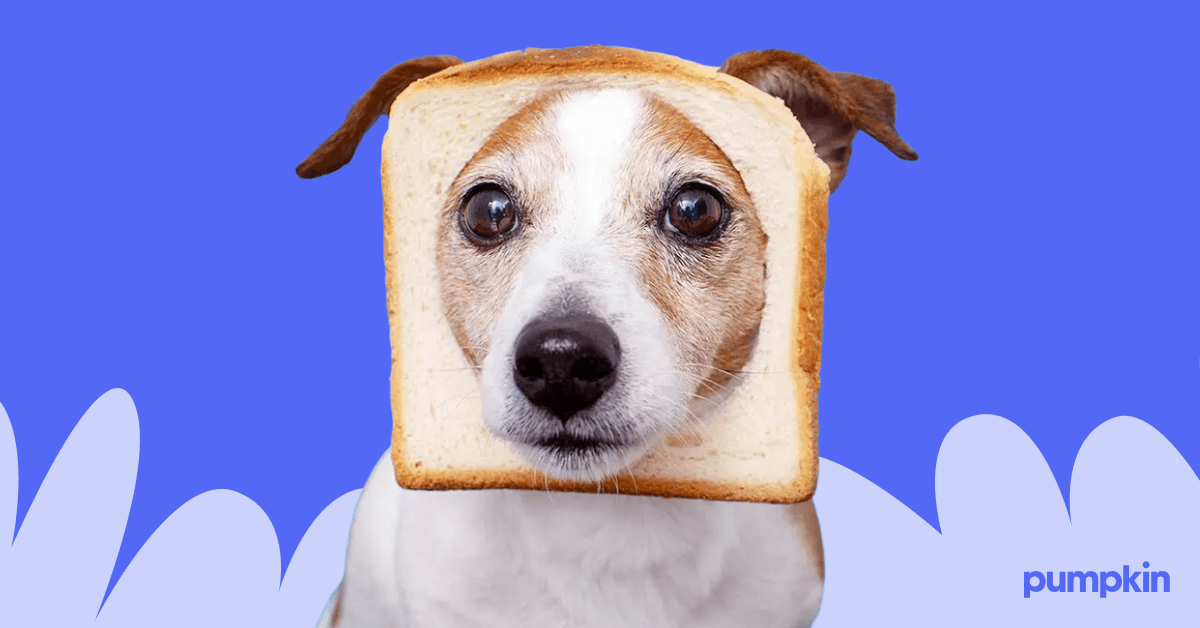 a dog with its head sticking through a slice of bread