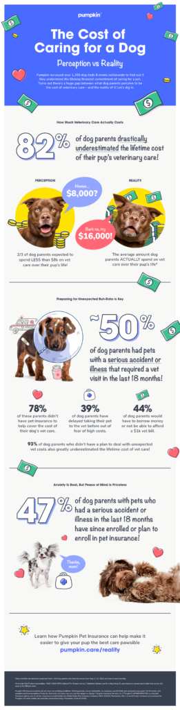 How Much Does it Really Cost to Care for a Dog? — Pumpkin®