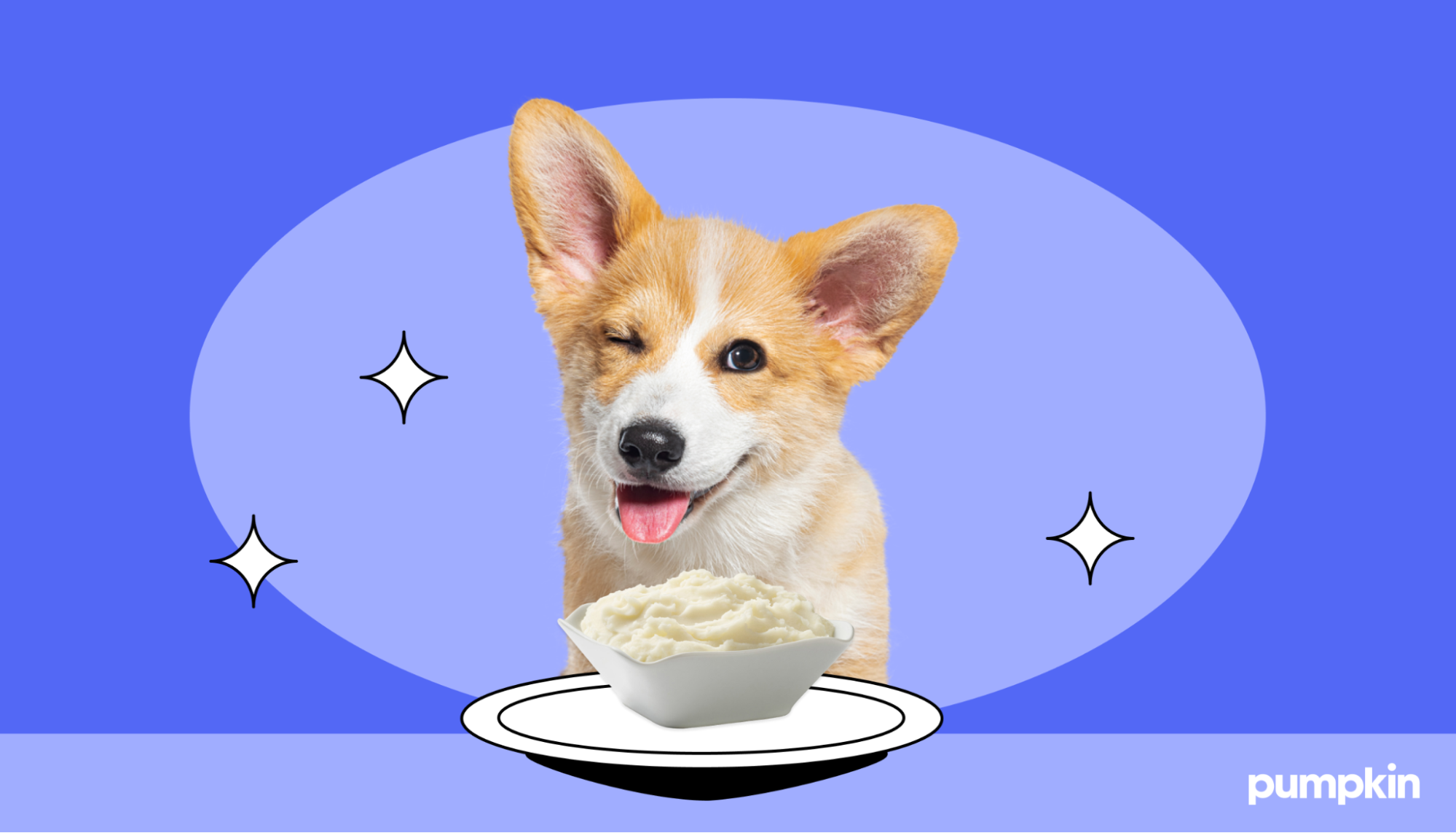 A dog and a bowl of mashed potatoes