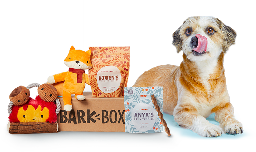 bark-box_top-christmas-gifts