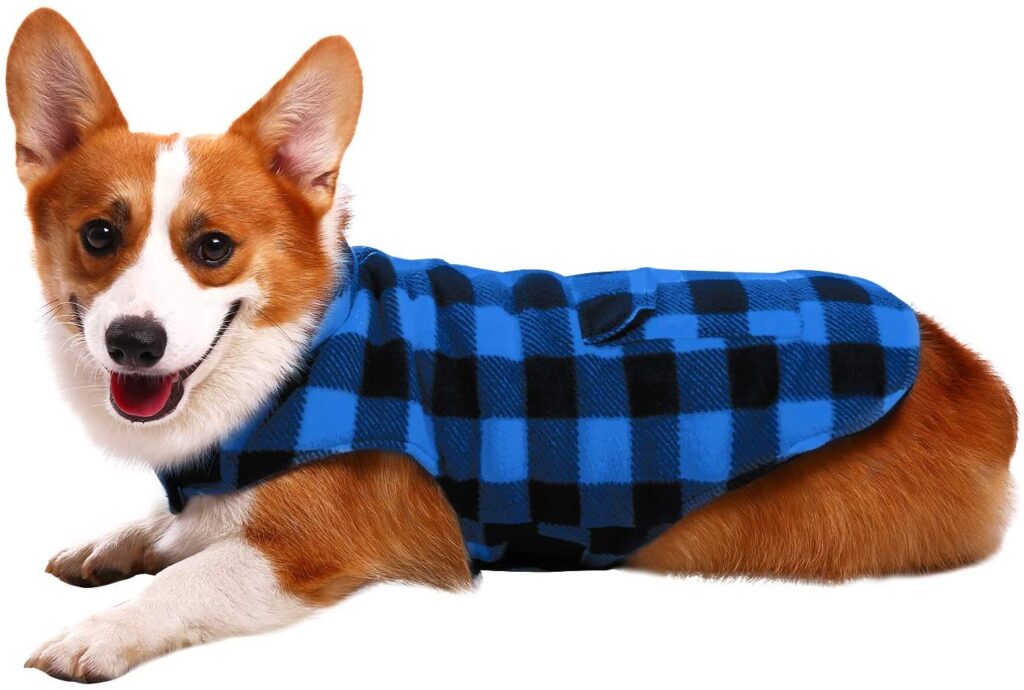 plaid-dog-jacket_best-dog-jackets