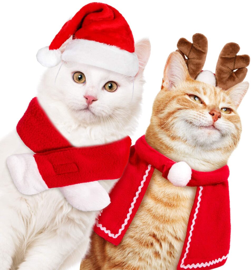 santa-costume_cat-christmas-stocking-stuffers