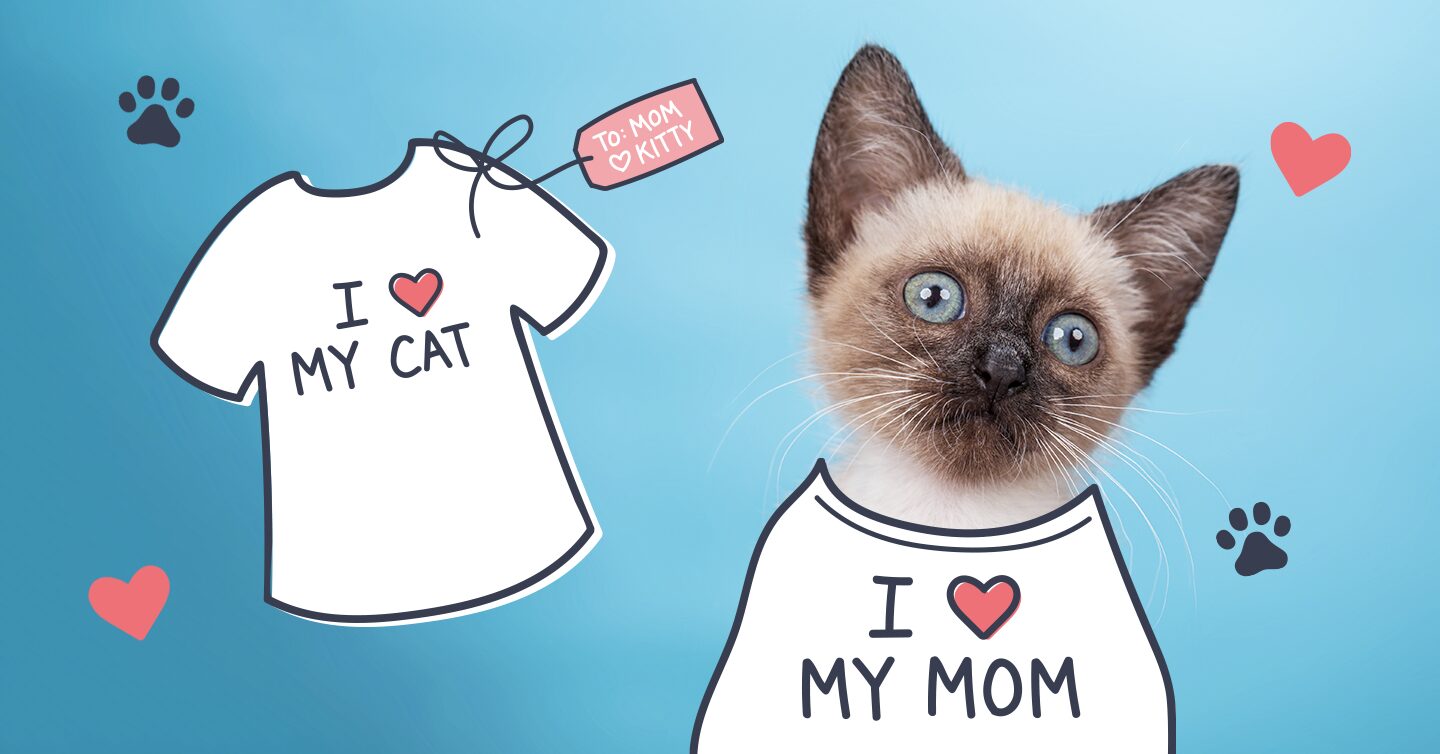 Gifts for a cheap cat mom