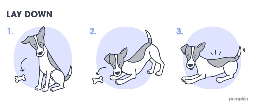 how to teach your dog to lie down without treats