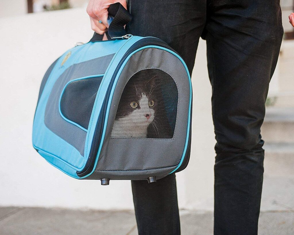 magasin-pet-carrier_best-cat-carrier