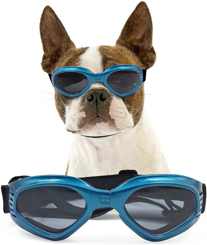 namsan-dog-goggles_summer-essentials-for-dogs