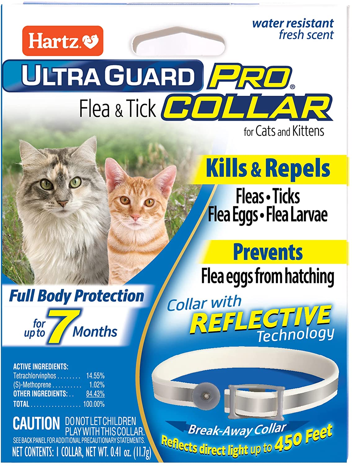 The Best Flea Collars for Cats — Pumpkin®