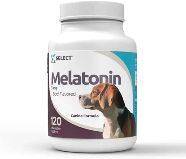 Melatonin to calm dogs best sale