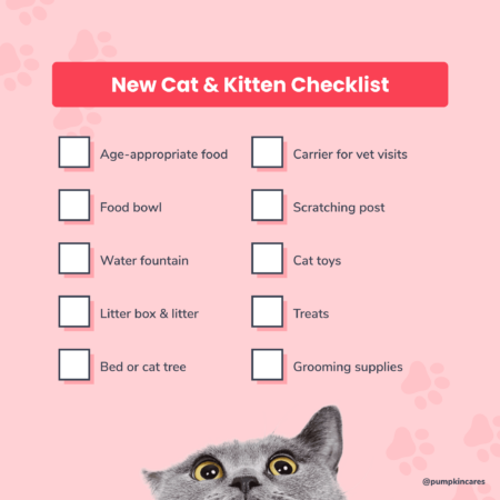 The Ultimate New Kitten Checklist: Everything You Need For Your New ...