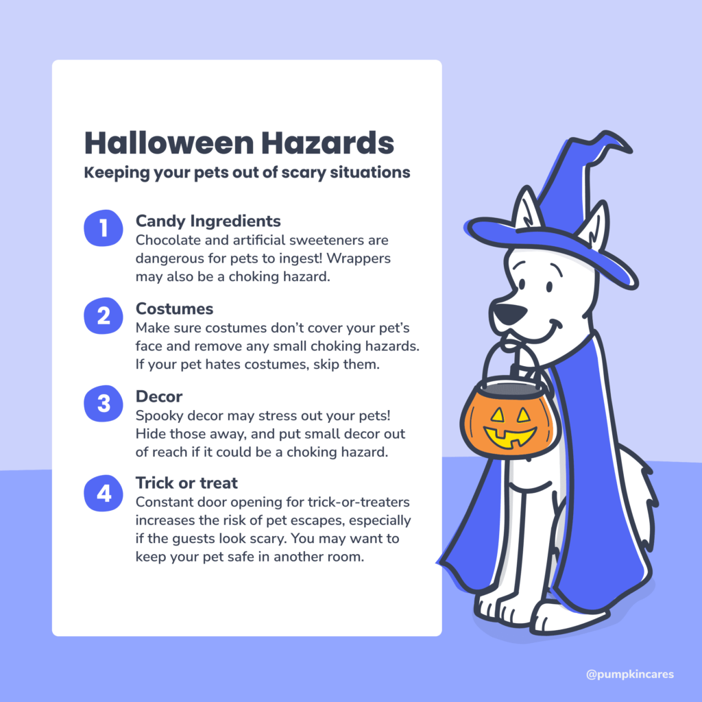 List-of-hazards-pets-have-during-halloween