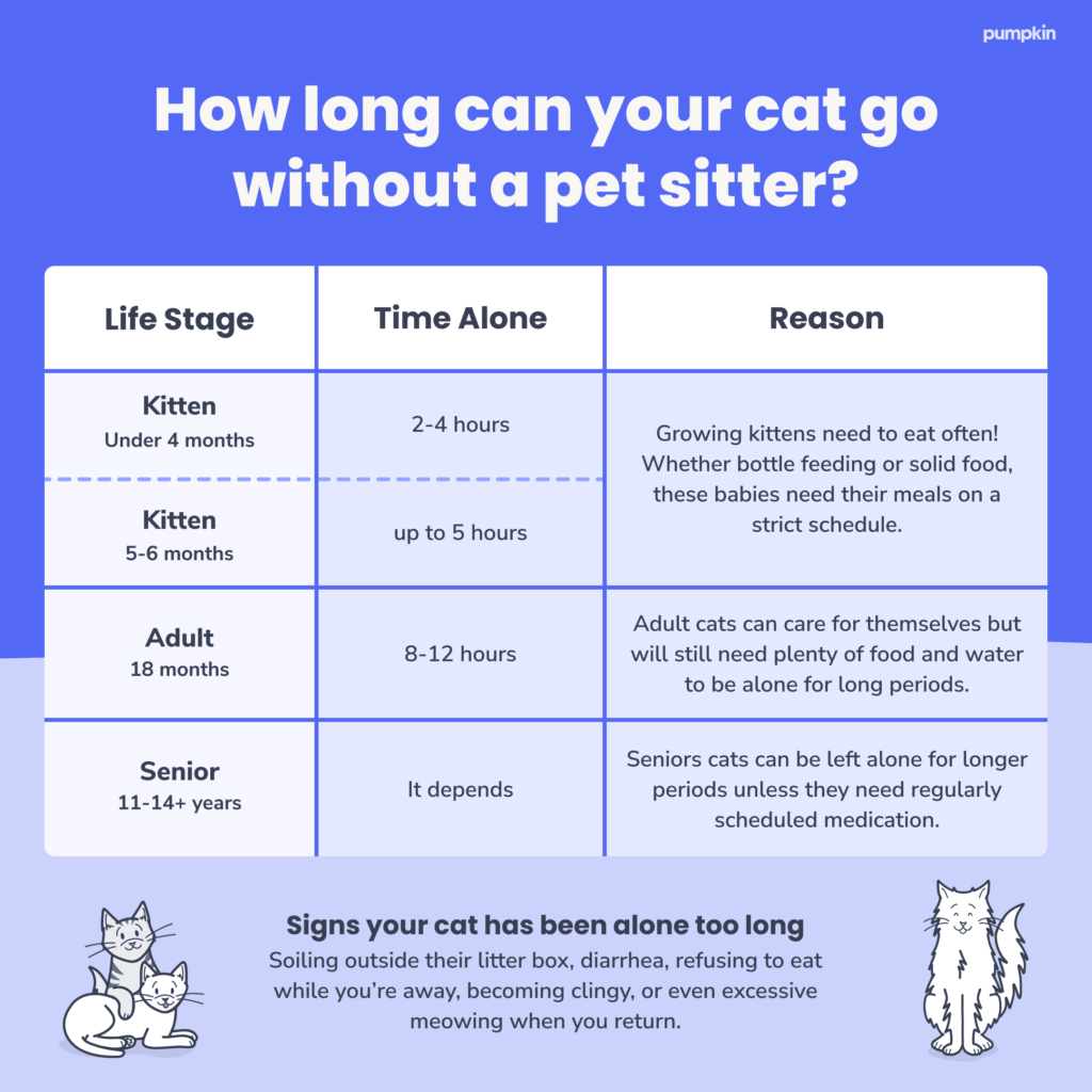 Chart-showing-how-long-cat-can-be-left-alone-based-on-age