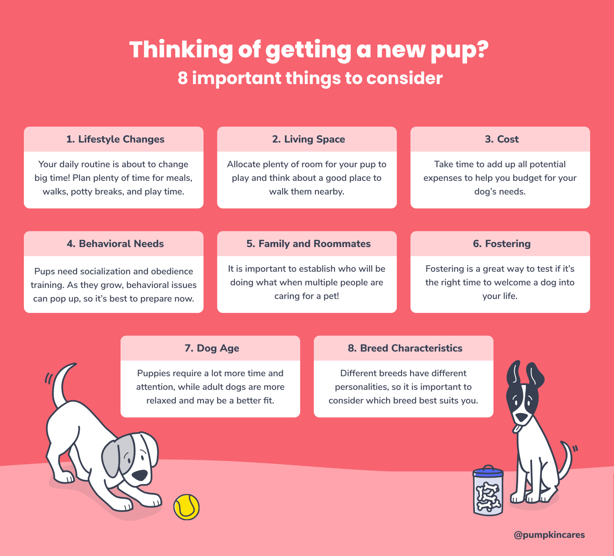 Should I Get A Dog? 8 Things To Consider Before You Bring One Home ...