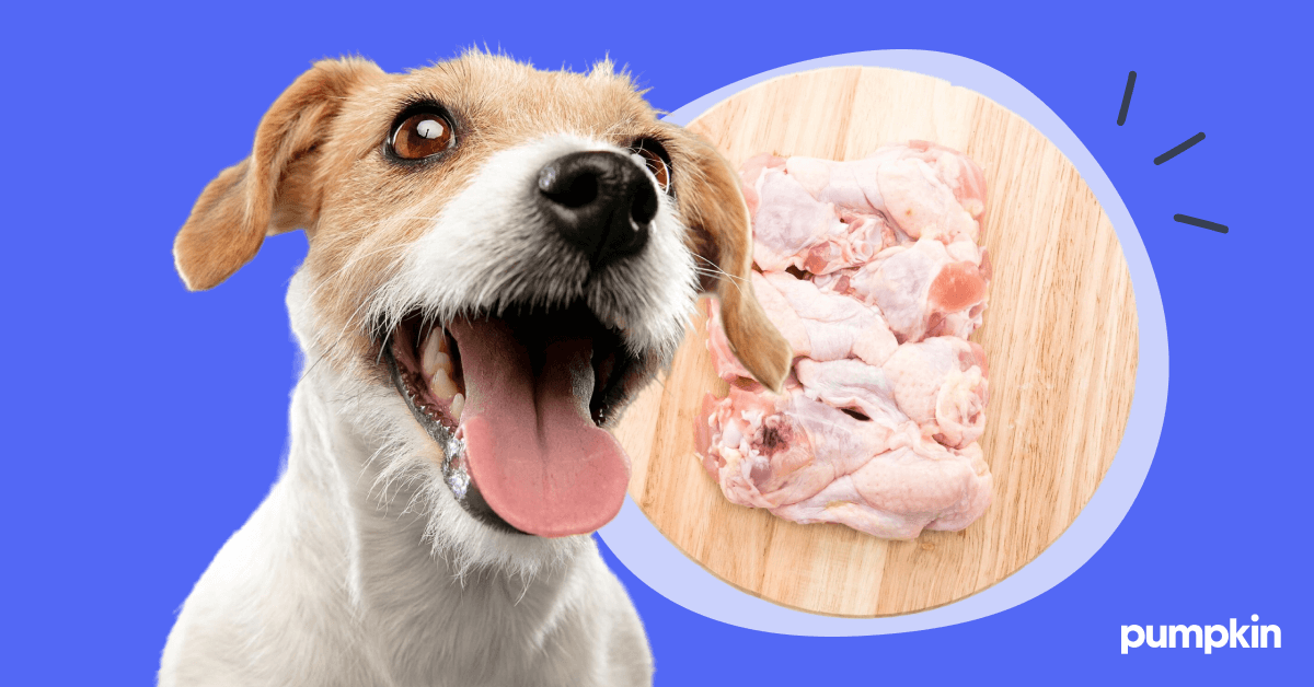 Can raw chicken hurt a dog hotsell