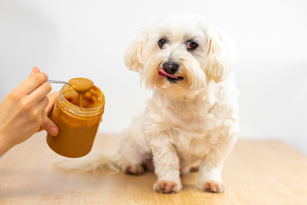 Is It OK to Eat Peanut Butter When I Have Diarrhea?