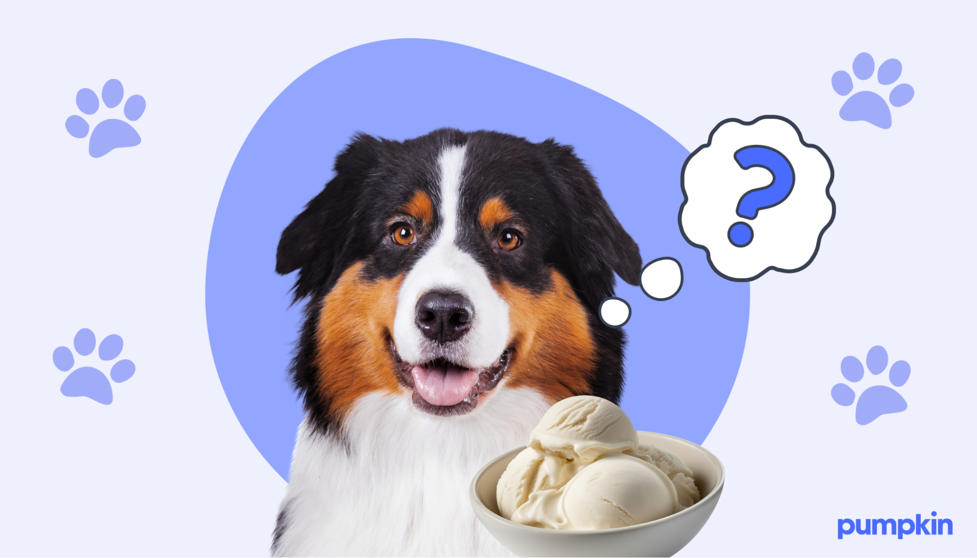 A dog next to a bowl of ice cream.