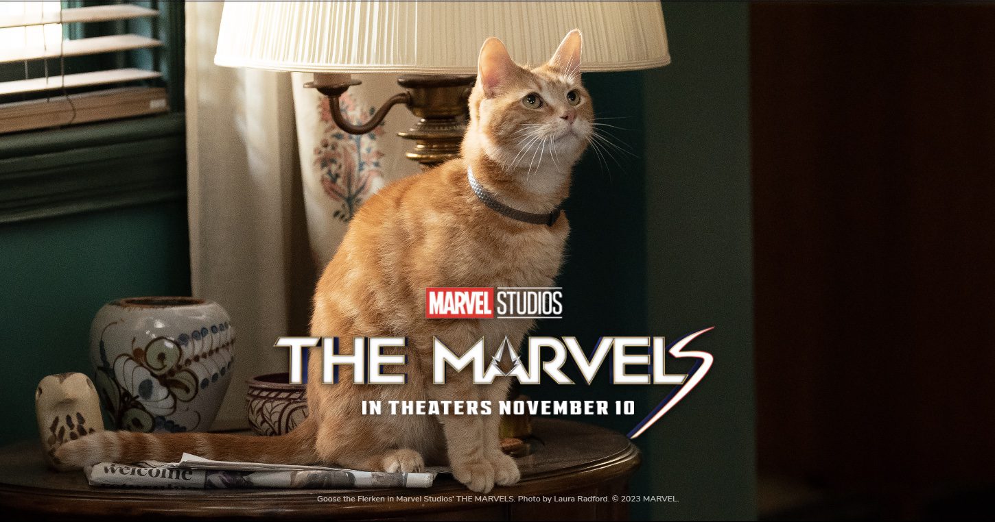 the marvels