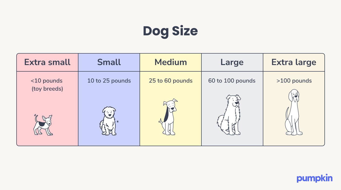 Table showing the weight range of different size dog breeds