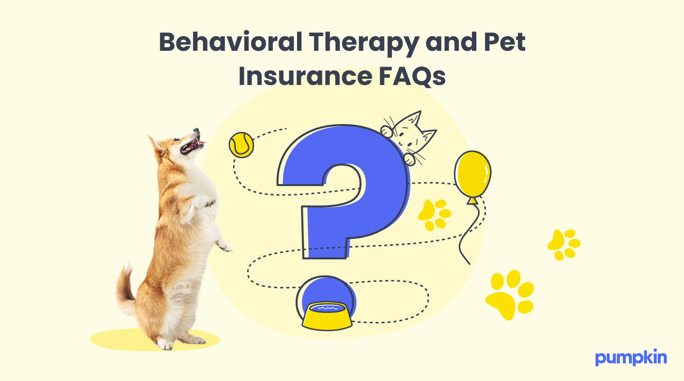 Behavioral Therapy and Pet Insurance FAQs. Graphic shows corgi on hind legs and cat peeking out from behind a question mark.