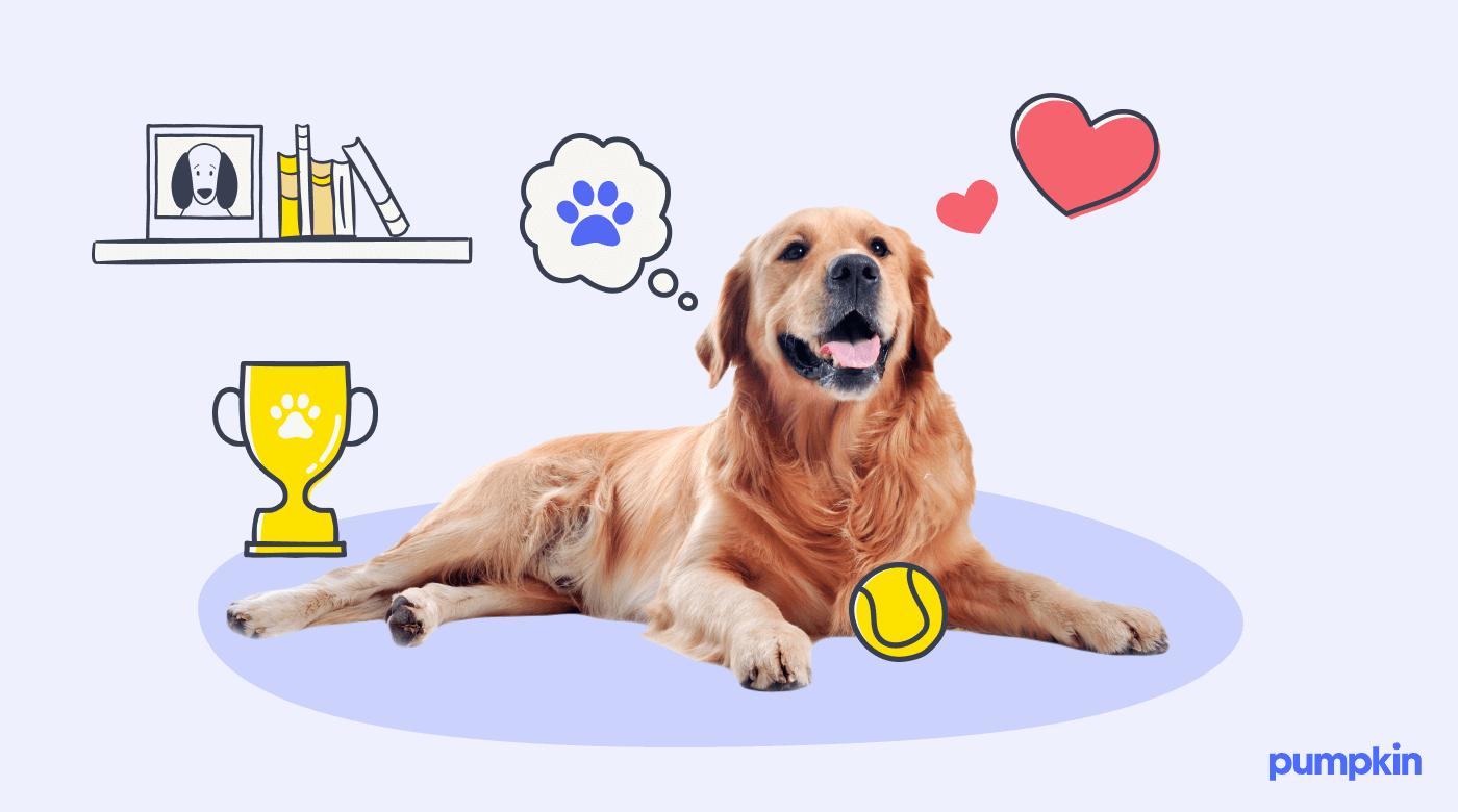 A happy golden retriever surrounded by illustrations of a tennis ball, trophy, paw bubble, and hearts