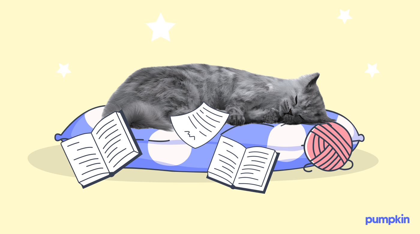 A grey cat snoozes in a cat bed surrounded by books.