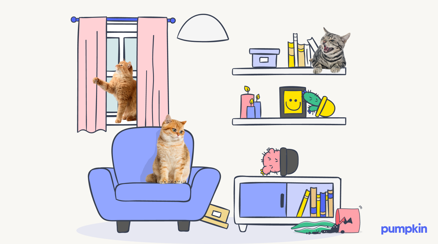 Illustration of cats in a home with knocked-over items, showing why you should cat proof your home