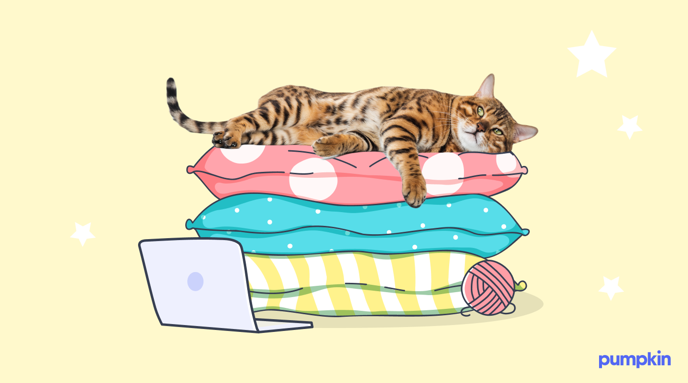 A tabby cat lies on top of a pile of pillows, with a laptop open in front of them.