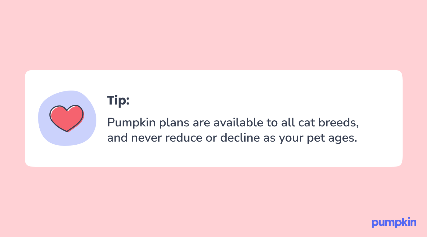 Pumpkin plans are available to all cat breeds, and never reduce or decline as your pet ages.