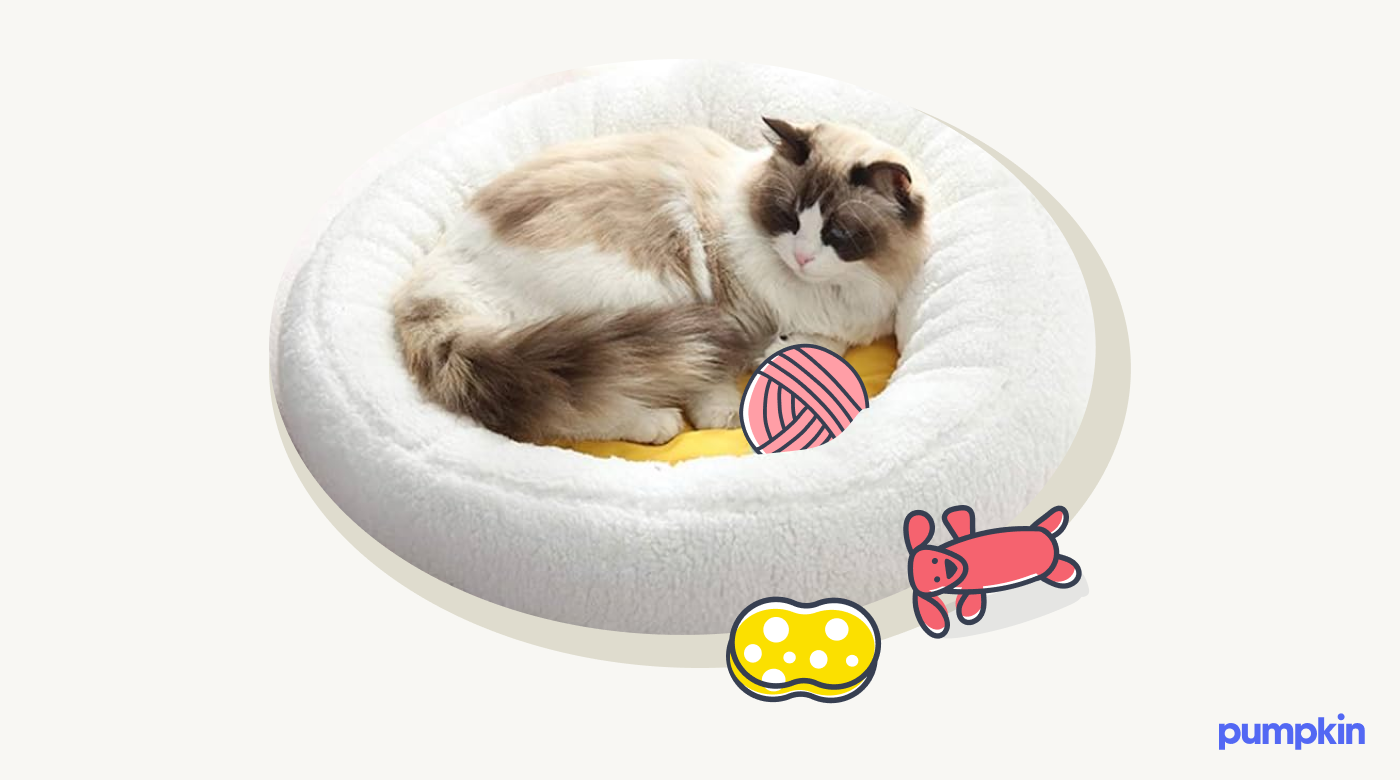 A fluffy cat sits in a plush cat bed.