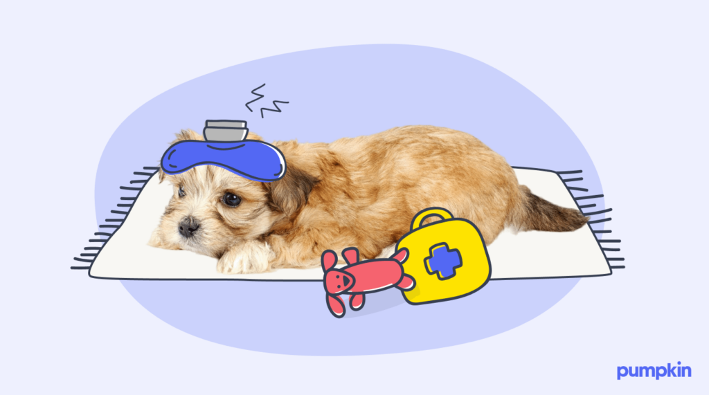 illustration of Dog feeling unwell