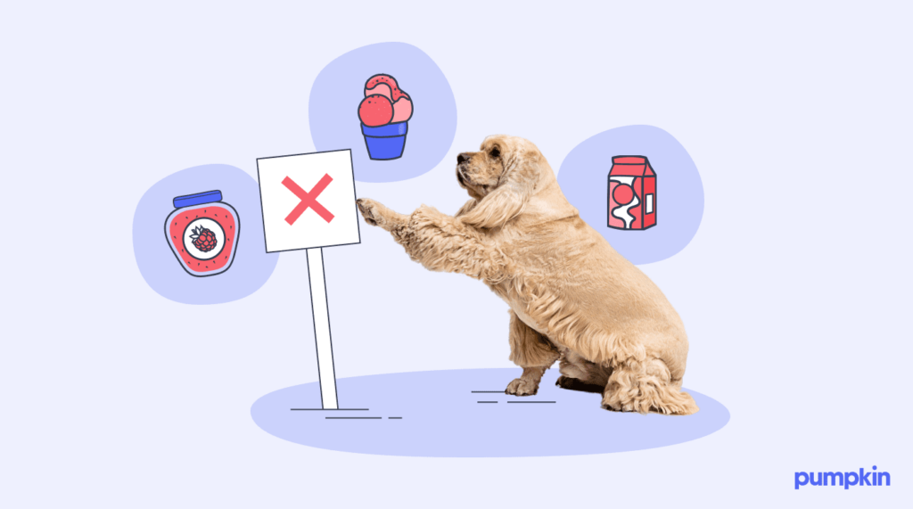 illustration showing unsafe raspberry products for dogs
