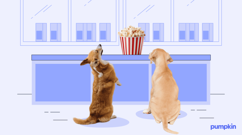 two dogs with bowl of popcorn