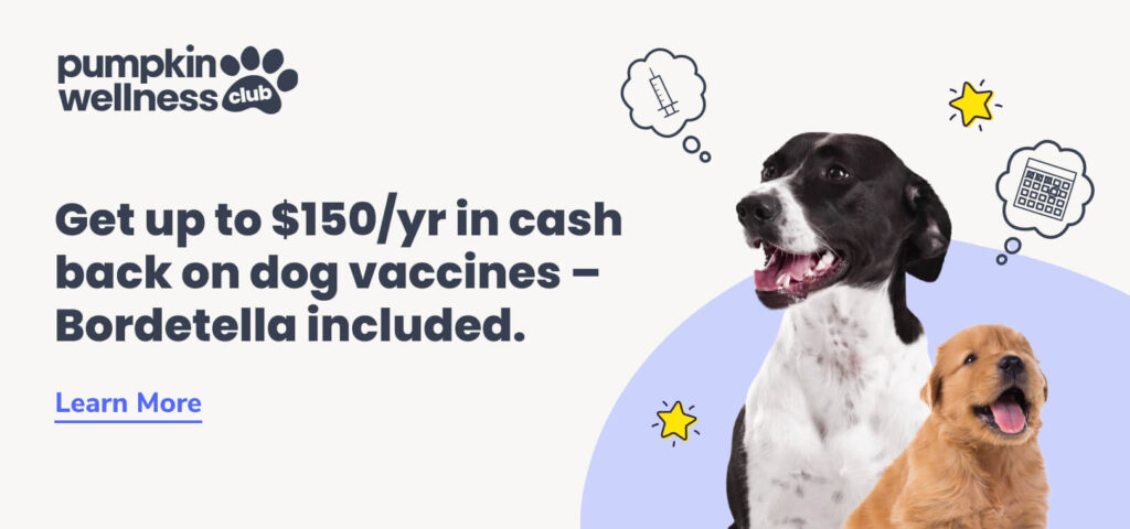 Get up to $150/yr in cash back on dog vaccines — Bordetella included. Click to learn more about the Pumpkin Wellness Club.