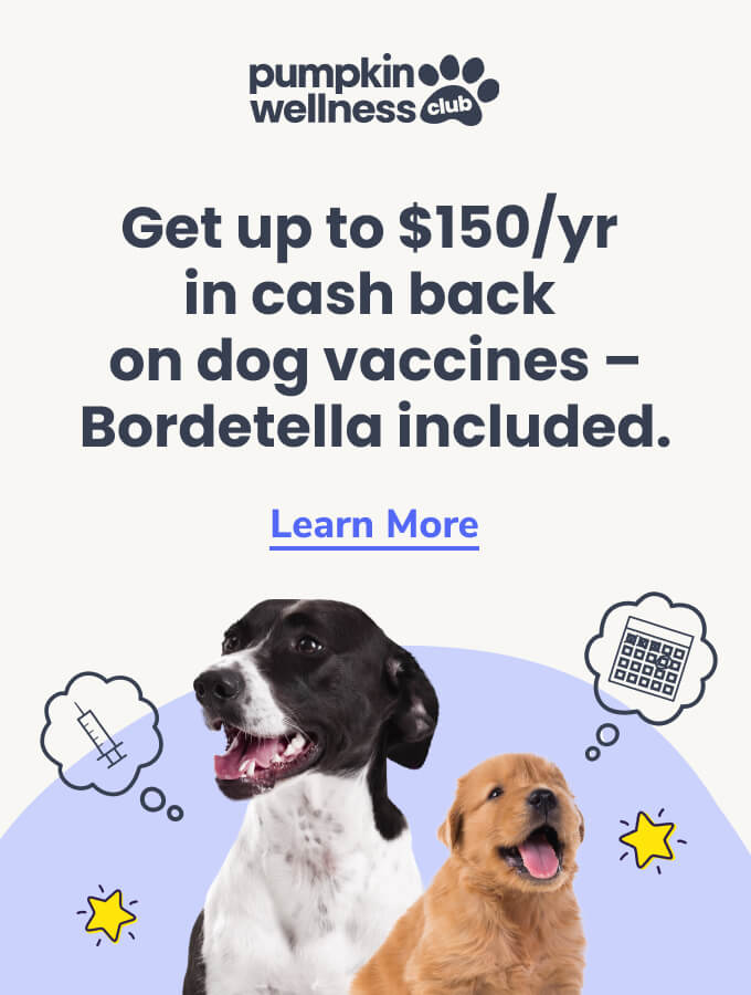 Get up to $150/yr in cash back on dog vaccines — Bordetella included. Click to learn more about the Pumpkin Wellness Club.