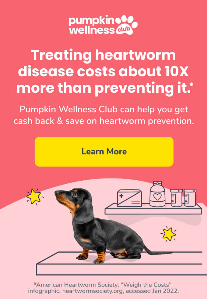 Treating heartworm disease costs about 10 times more than preventing it. Pumpkin Wellness Club can help you get cash back and save on heartworm prevention.