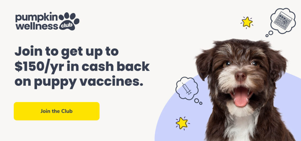 Join to get up to $150/yr in cash back on puppy vaccines. Click the image to learn more about the Pumpkin Wellness Club.