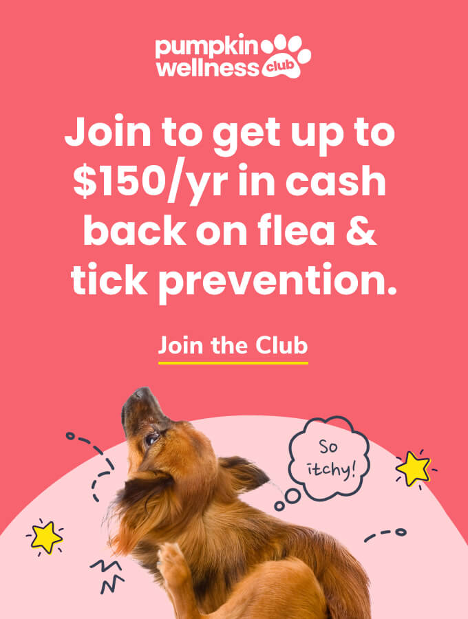 Join the Pumpkin Wellness Club to get up to $150/year in cash back on flea and tick prevention. Click the image to learn more.