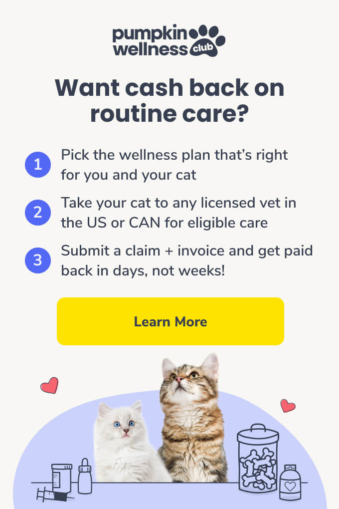 Want cash back on your cat's spay/neuter? The Pumpkin Wellness can help in 3 simple steps (pictured): Pick a plan, take your cat to the vet, and submit a claim to get paid back in days!