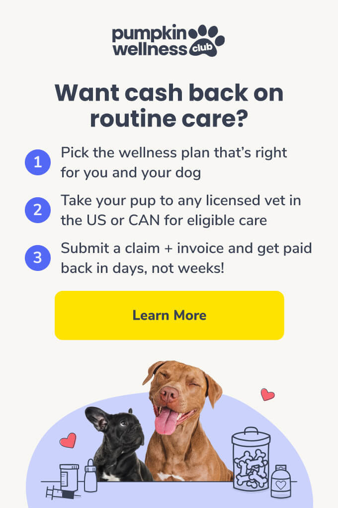 Want cash back on routine care? Pumpkin Wellness Club can help with three simple steps (pictured): Pick the wellness plan, take your pup to the vet, then submit a claim to get paid back in days!